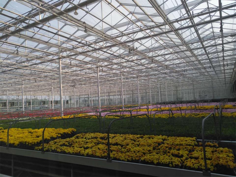 揚(yáng)州蔬菜 將端上“亞運(yùn)餐桌”