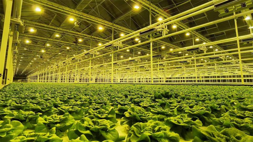 公司視頻宣傳片