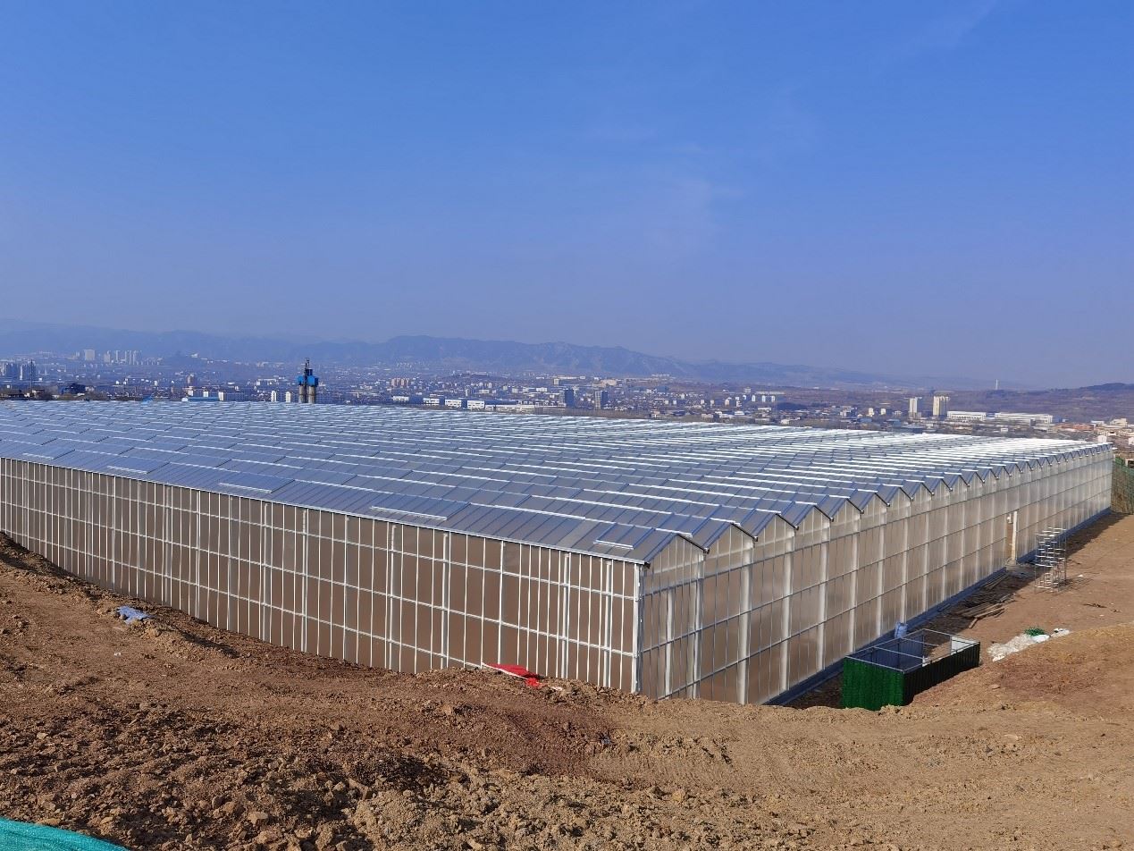 玻璃溫室大棚的各種應(yīng)用場景