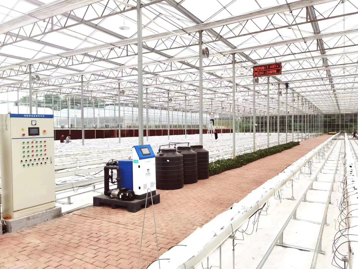 建設(shè)一個(gè)標(biāo)準(zhǔn)型的玻璃溫室大棚需要多少錢？