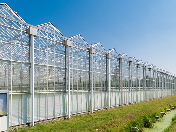 荷蘭智能化溫室