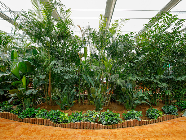 智能溫室農(nóng)業(yè)景觀設(shè)計