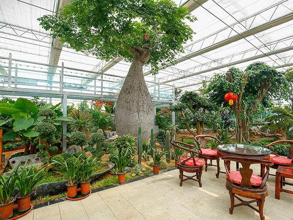 玻璃溫室農(nóng)業(yè)景觀