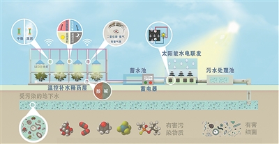 會(huì)發(fā)電、可處理廢水,還能精準(zhǔn)釋放農(nóng)藥 智慧大棚化身降碳多面手