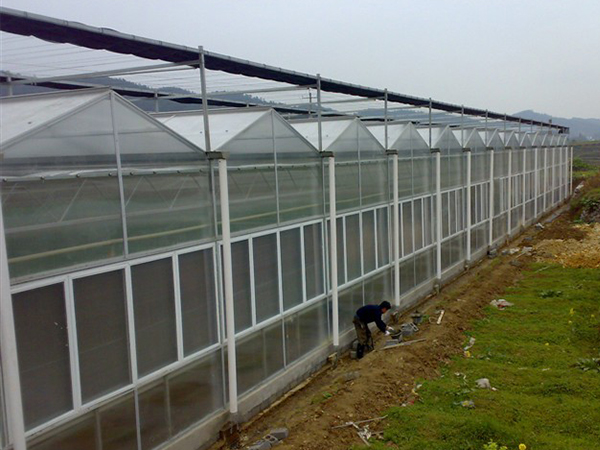 文洛式智能溫室大棚