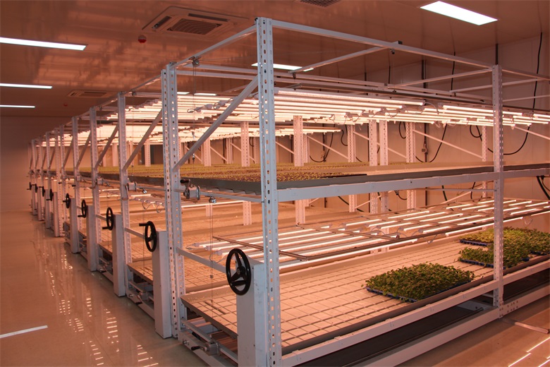 植物工廠移動苗床